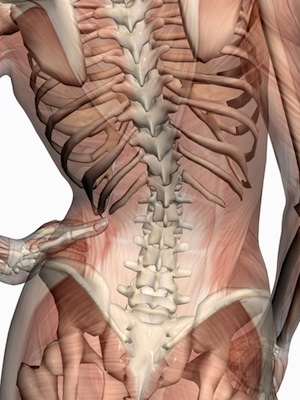 To Chiropract or Not To ...